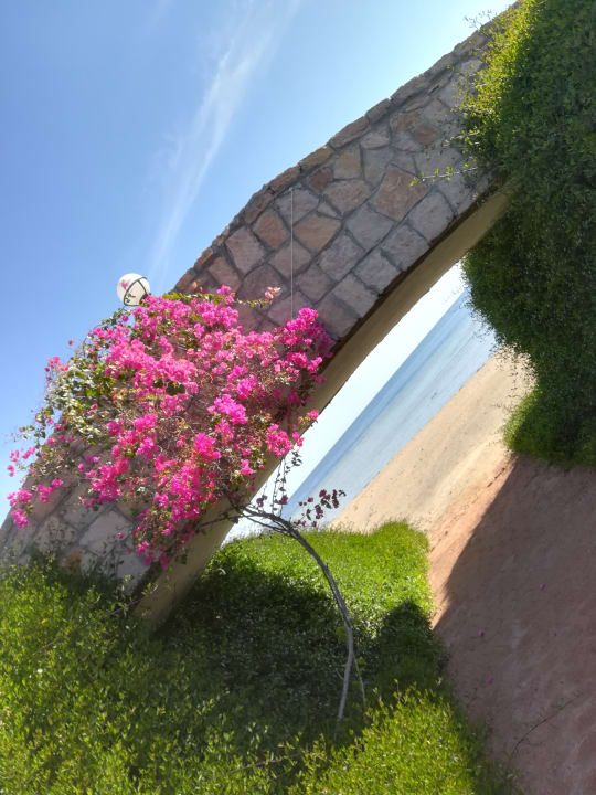 Gartenanlage Three Corners Equinox Beach Resort