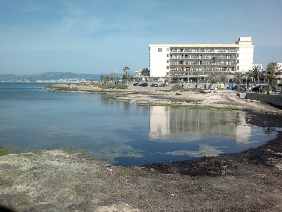 Hotel direkt am Meer AluaSoul Palma
