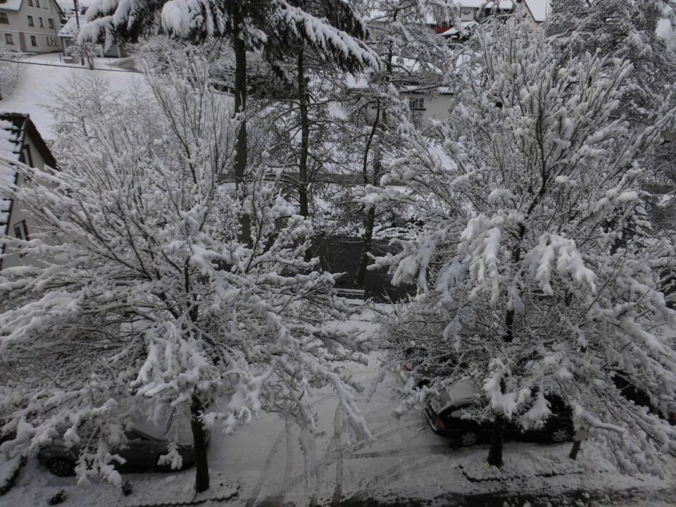 Neuschnee Flair Hotel Sonnenhof