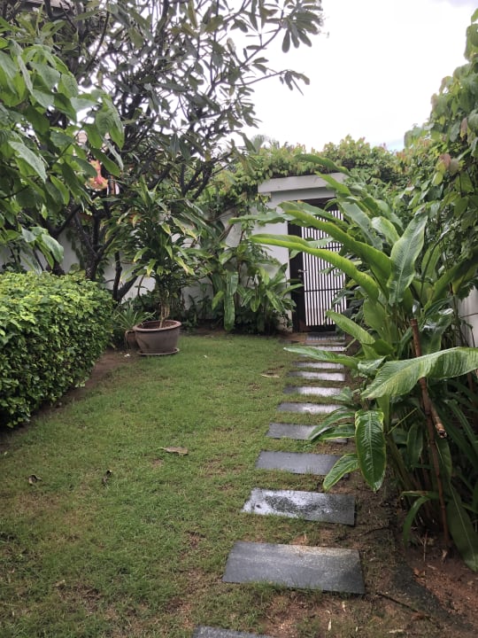 Gartenanlage Samui Blu