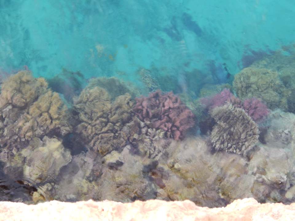 Strand Pickalbatros Citadel Resort