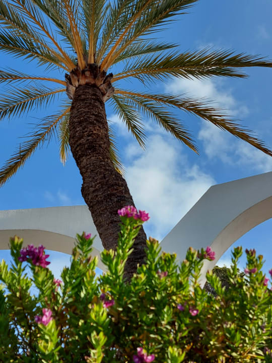Garten Sentido Fido Punta del Mar – Adults only
