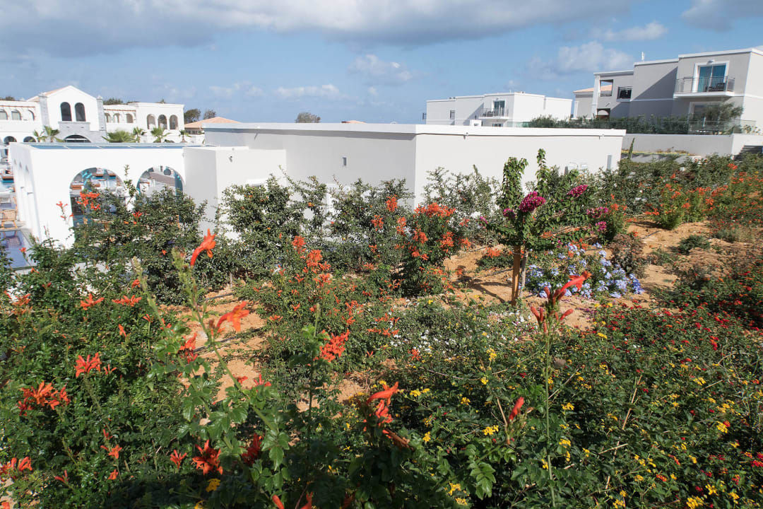 Schöne Bepflanzung Anemos Luxury Grand Resort