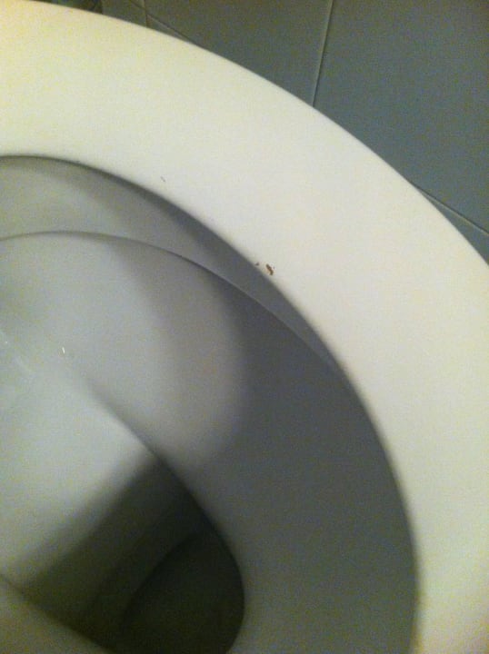 WC Klobrille Hotel Palace