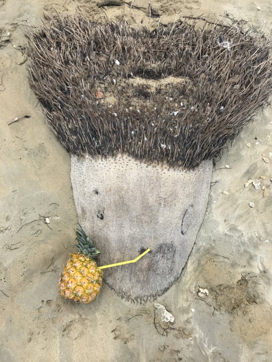 Sonstiges Viva Wyndham Samaná