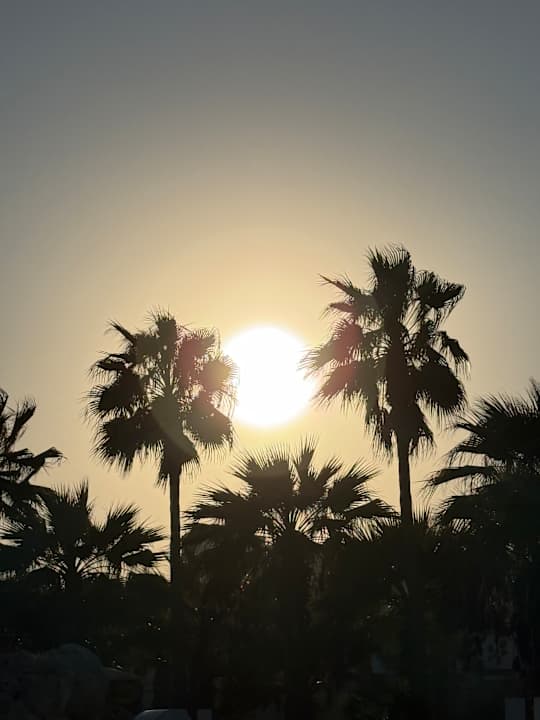 Sonstiges Bohemian Gardens Hotel