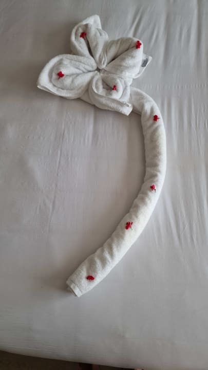 Zimmer Stella Garden Resort & Spa, Makadi Bay