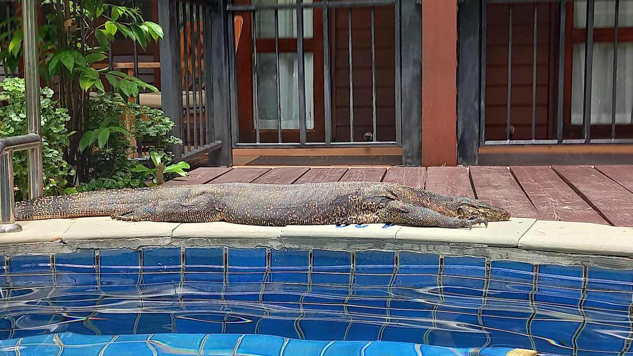 Außenansicht Khao Lak Merlin Resort