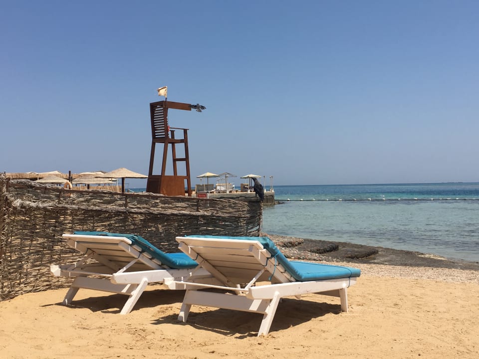 Strand Sea Star Beau Rivage