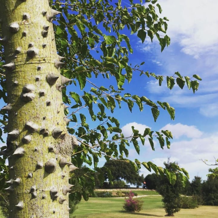 Gartenanlage Sacuba Resort & Botanic Golf Club