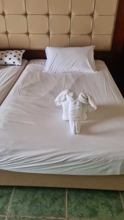 Zimmer Sentido Akassia Beach