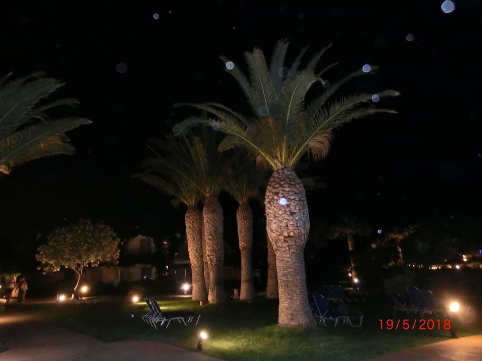 Gartenanlage Anissa Beach & Village