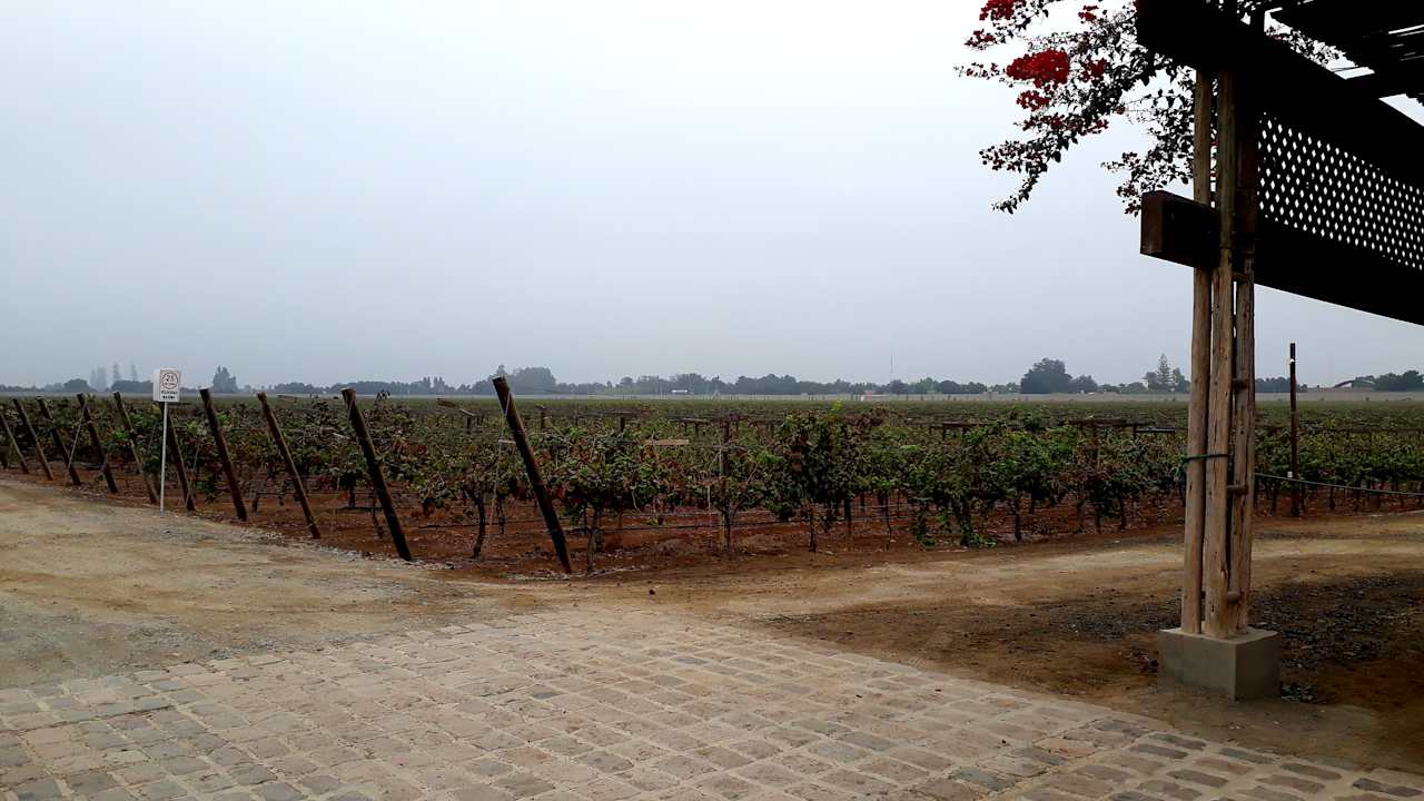 Gartenanlage Hotel Viñas Queirolo