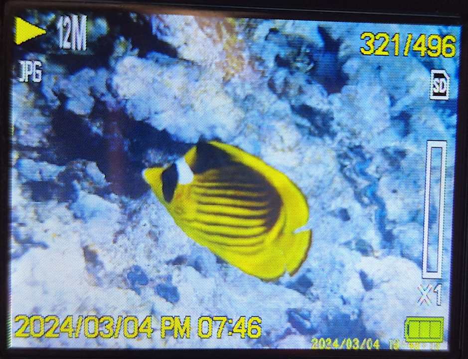 Strand Reef Oasis Beach Resort