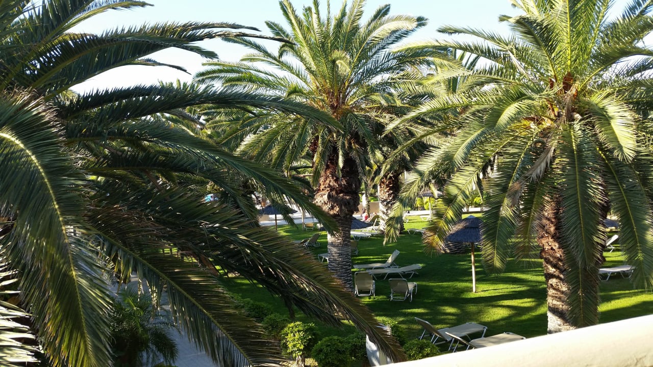 Blick auf den Garten Sandy Beach Hotel & Family Suites