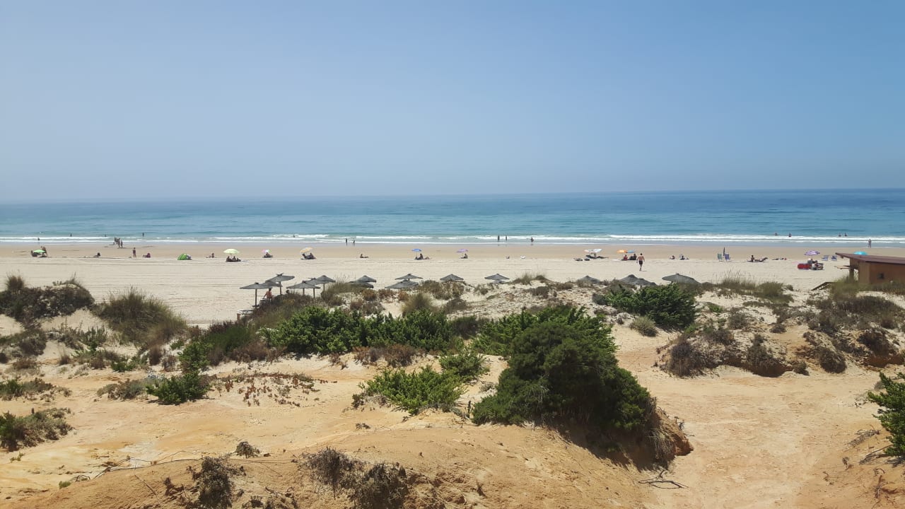 Ausblick Hipotels Playa la Barrosa