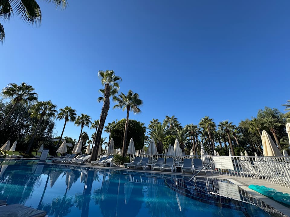 Pool Delphin Deluxe Resort