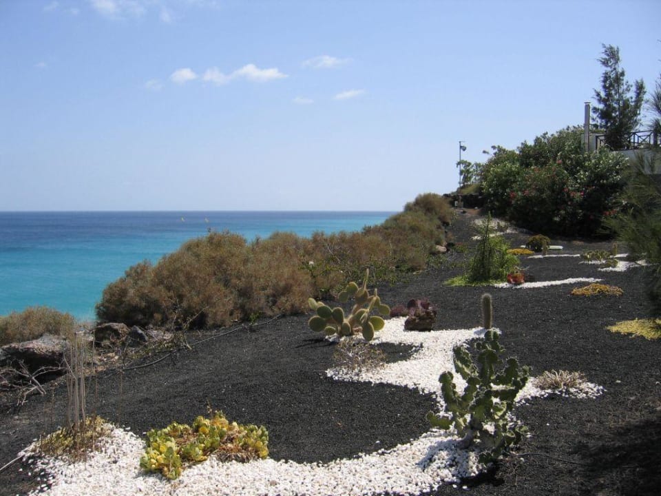Lieblingsplatz TUI MAGIC LIFE Fuerteventura