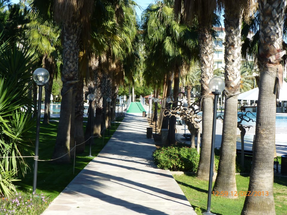 Der Weg zum Strand Arum Barut Collection