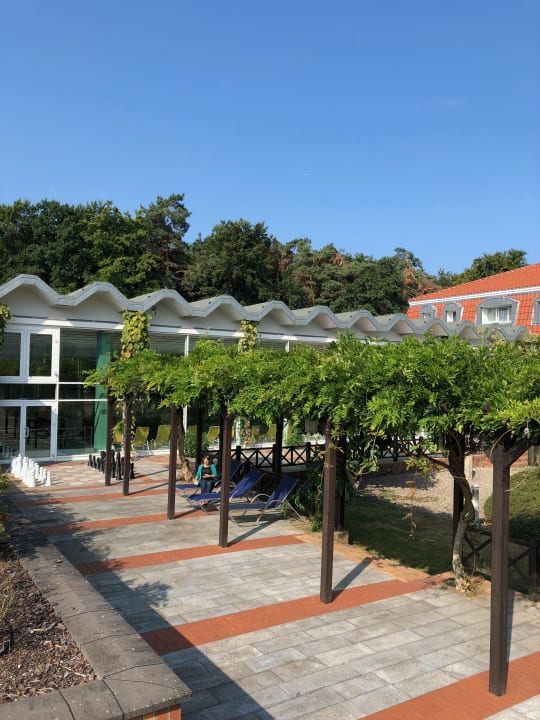 "Gartenanlage" IFA GraalMüritz Hotel (GraalMüritz) • HolidayCheck
