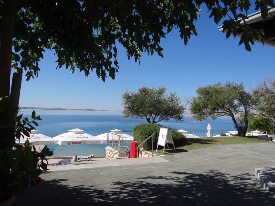 Gartenanlage Hotel & Apartments Vila 4m