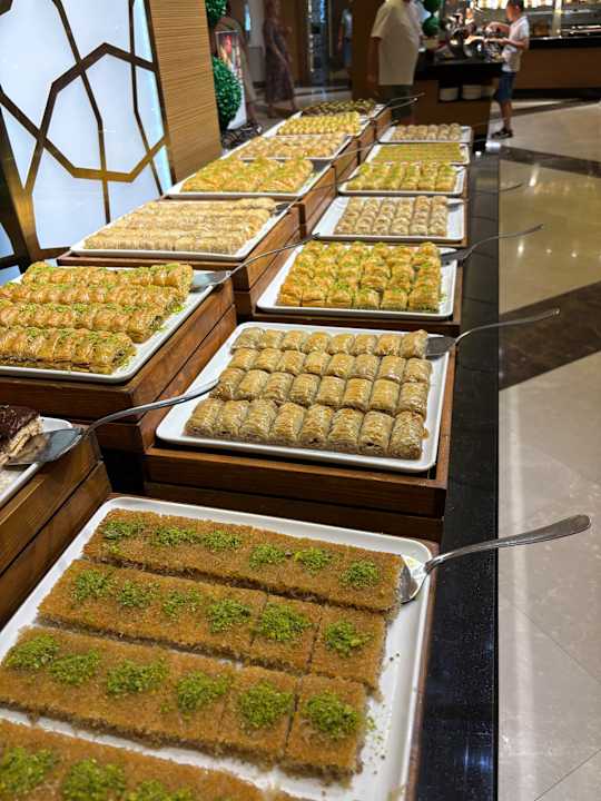 Gastro Papillon Ayscha