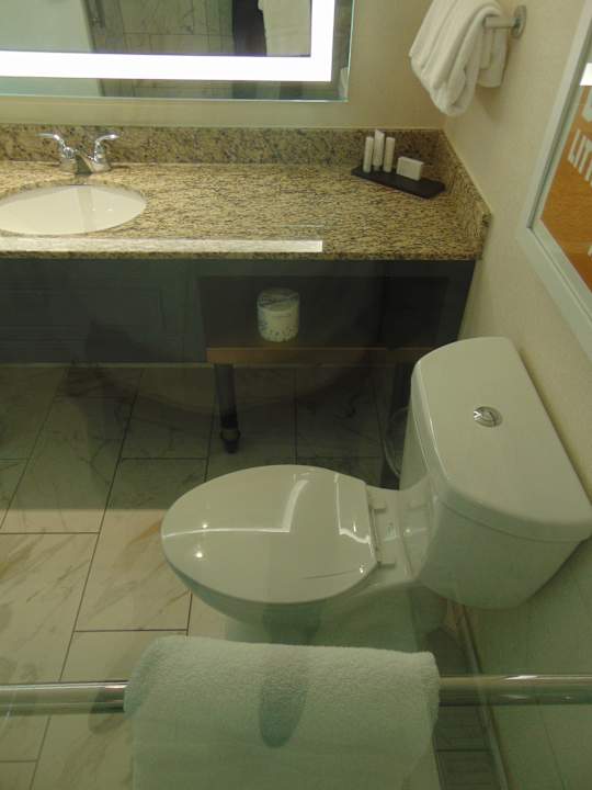 Zimmer Embassy Suites Hotel Atlanta-Buckhead