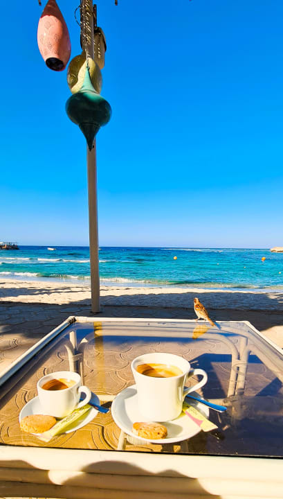 Gastro Mövenpick Resort El Quseir