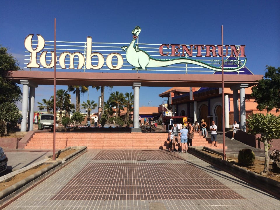 Canary Garden Club Canary Garden Club