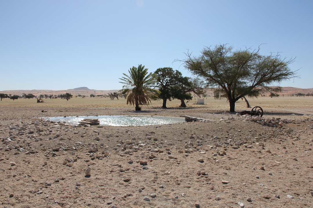 Sonstiges Tsondab Valley Scenic Reserve