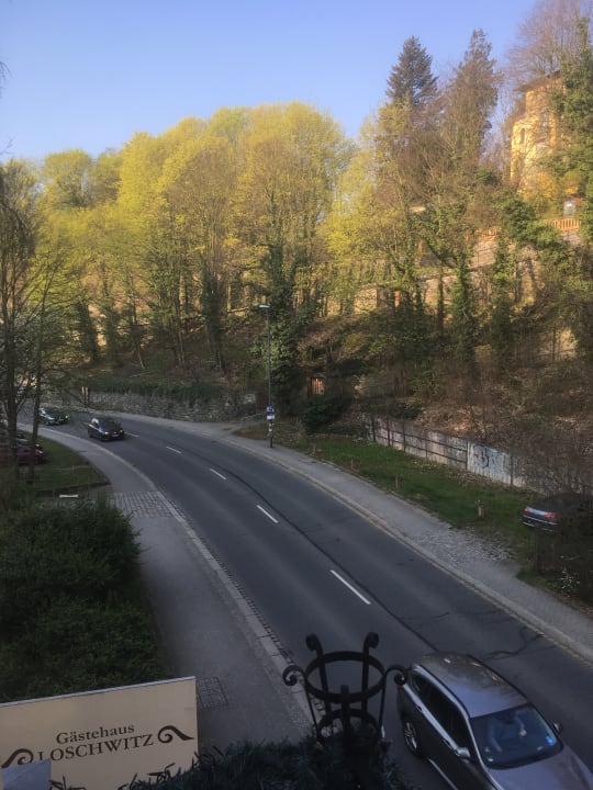 Ausblick Gästehaus Loschwitz