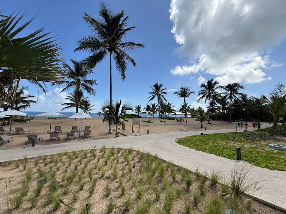 Strand Dreams Playa Esmeralda Resort & Spa - All Inclusive