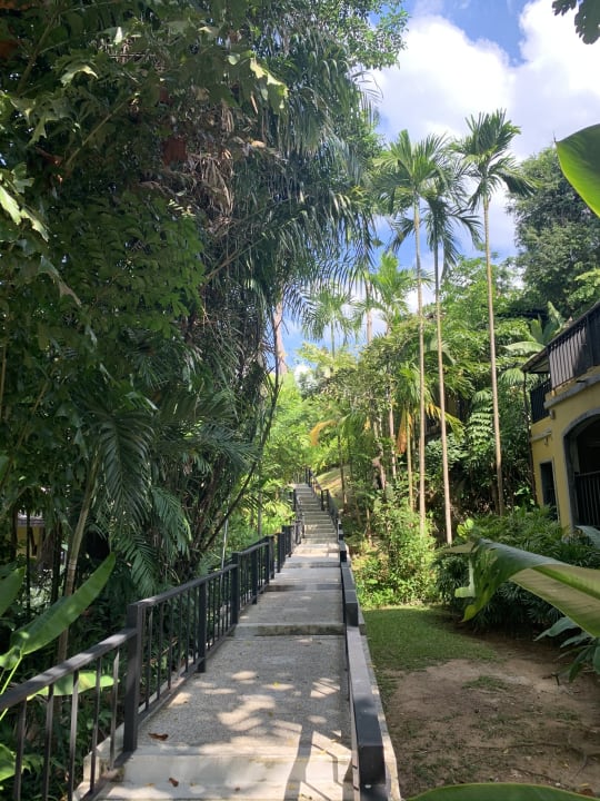 Gartenanlage Moracea by Khao Lak Resort