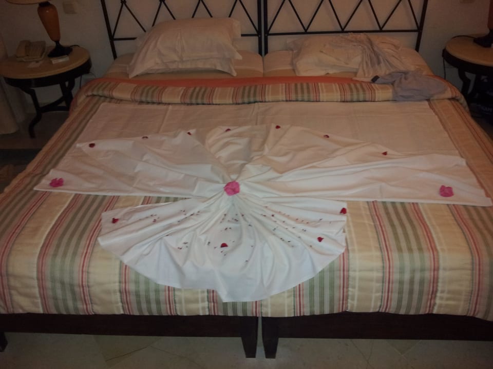 Putzfrau Medina Solaria & Thalasso