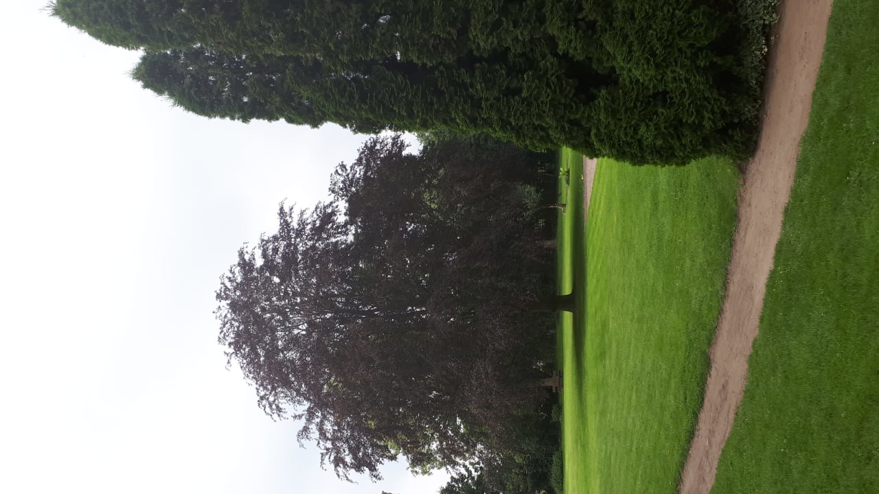 Gartenanlage Land-gut-Hotel Allerhof