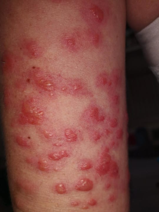 Zimmer Hotel Riu Touareg