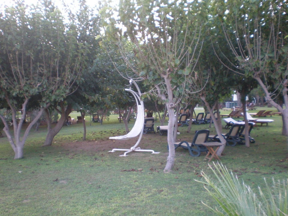 Relax - Liege Asteria Family Belek