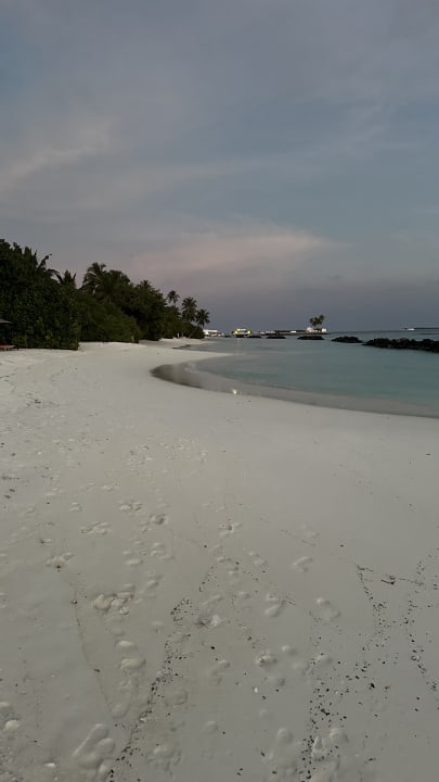 Strand Dhigali Maldives
