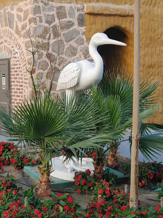 Außenansicht Pickalbatros Vita Resort - Portofino Marsa Alam