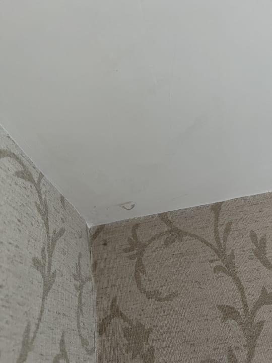 Zimmer Crystal Sunset Pearl Collection