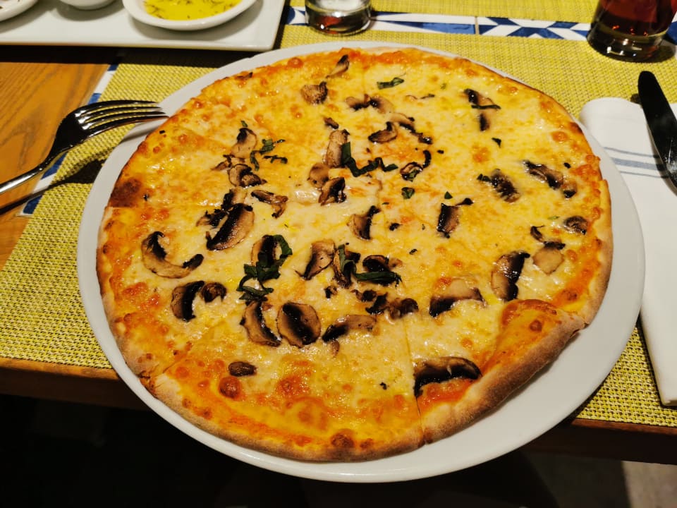 Gastro Acanthus Cennet Barut Collection