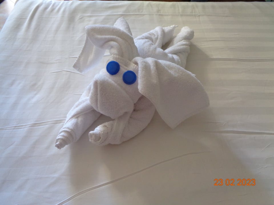 Zimmer Hotel Three Corners Ocean View prestige - Adults only