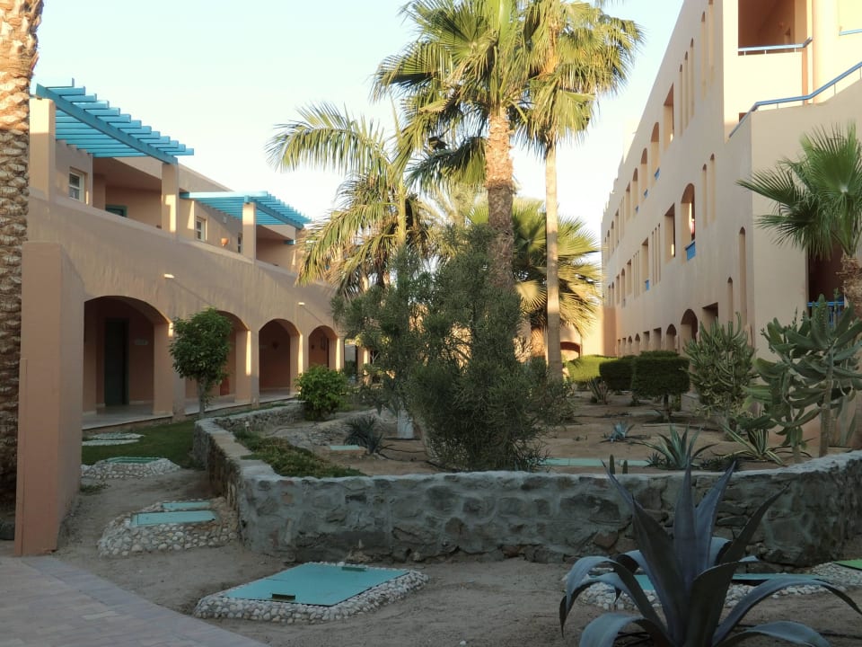 Palmen zwischen den Häusern Club Paradisio El Gouna, Red Sea