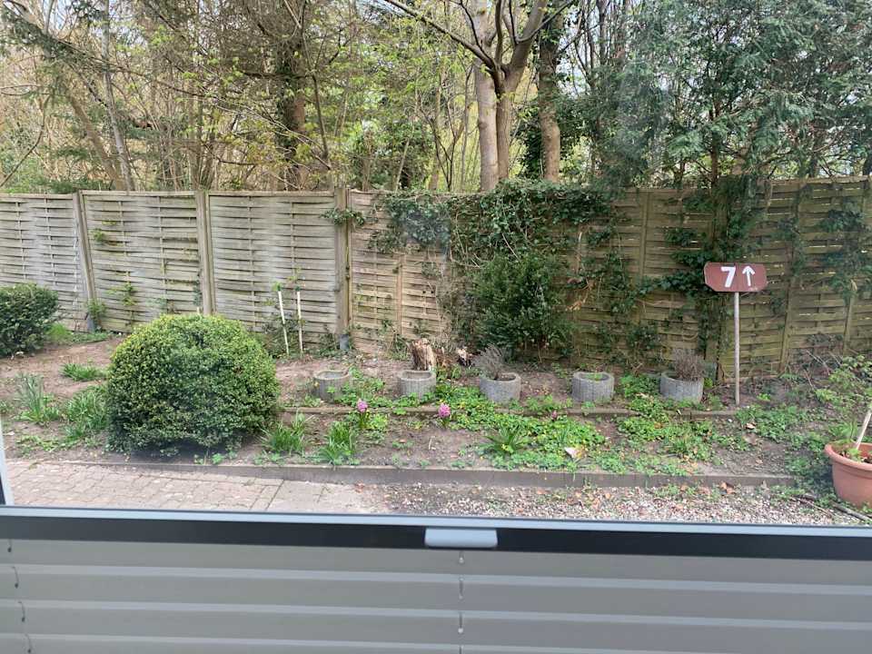 Ausblick Gästehaus "Alte Bücherei"