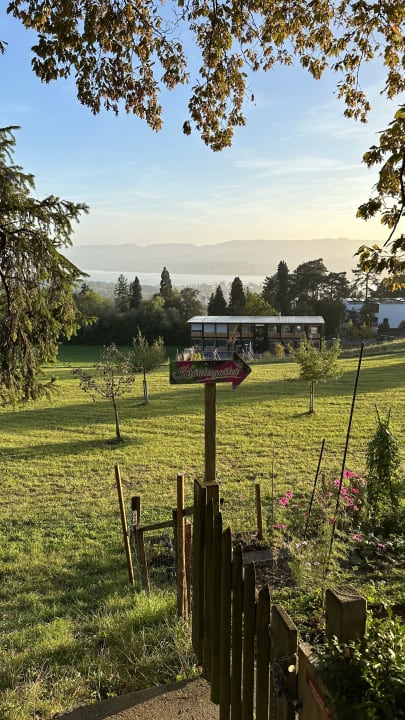 Ausblick Sorell Hotel Zürichberg