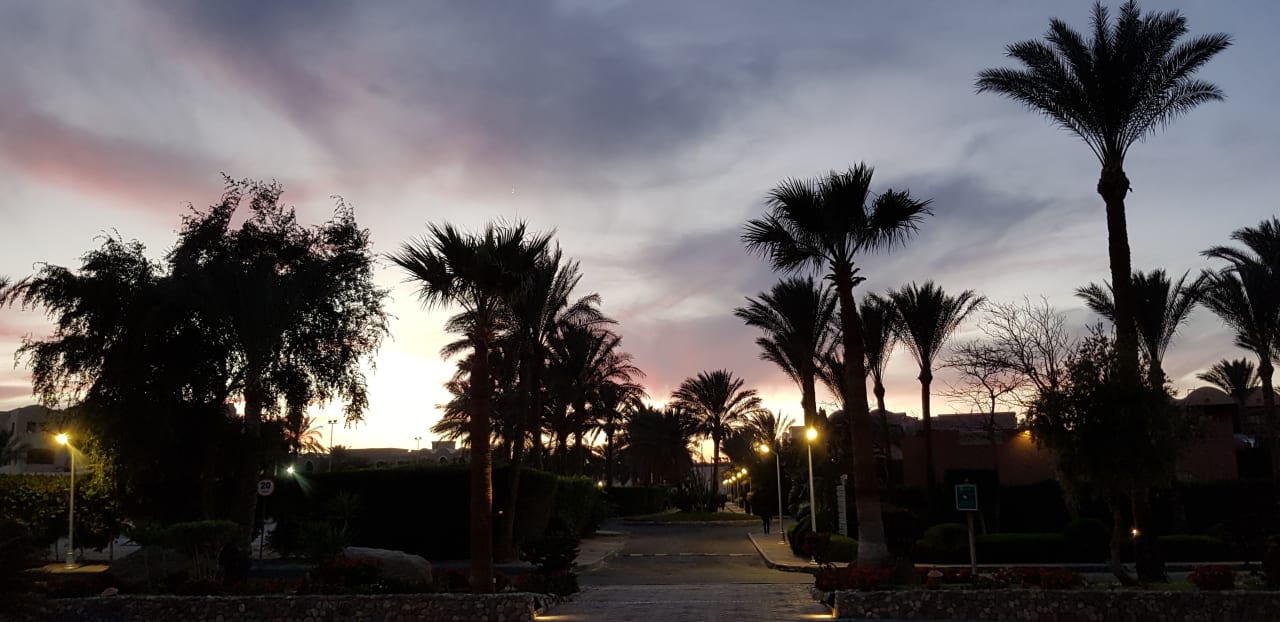 Gartenanlage Jaz Makadi Oasis Resort