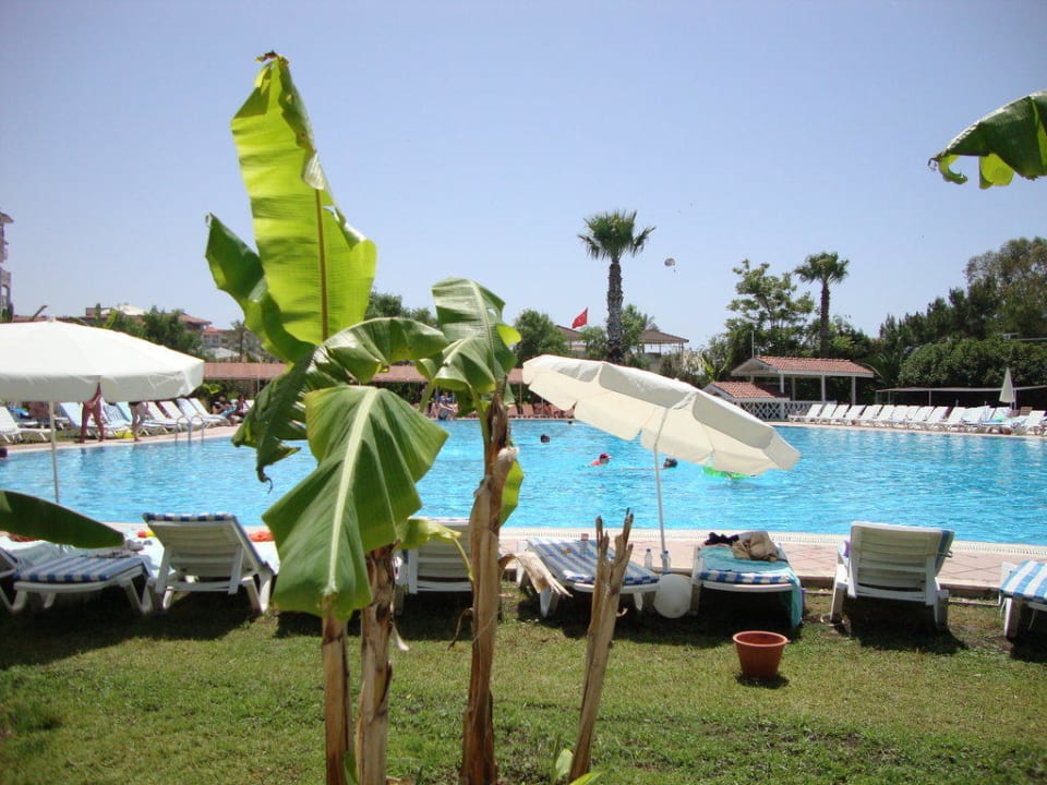 Einer von 3 Pools Asteria Family Resort Side