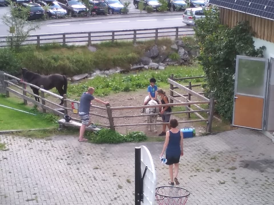 Sport & Freizeit Bauernhof Paußhof