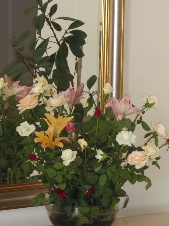 Lobby Medina Solaria & Thalasso