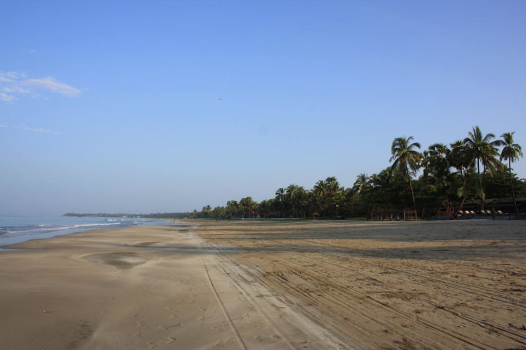 Beach Hotel Palm Beach Resort